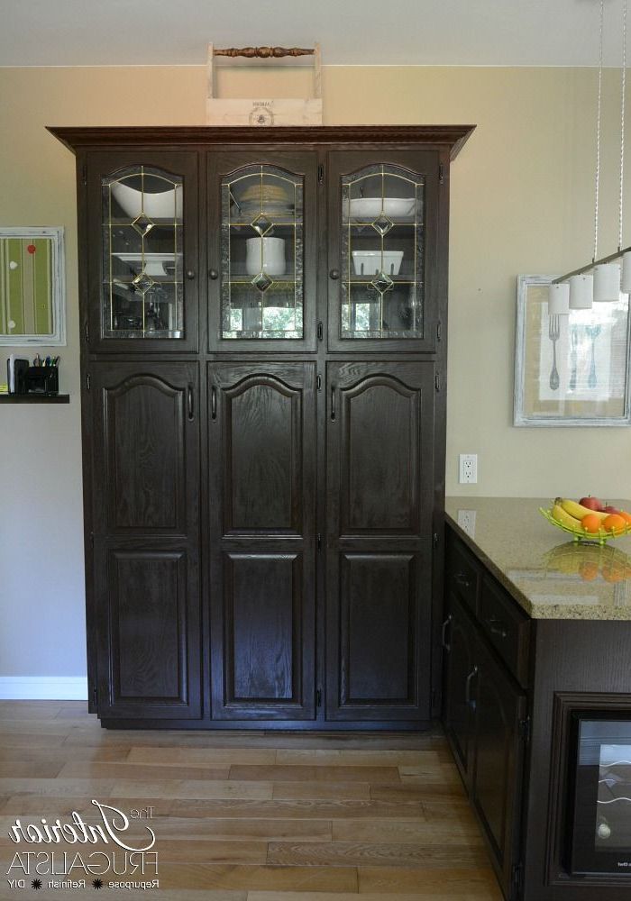 Schuetz Kitchen Pantry Intended For Fashionable Repurposed Pantry Cabinet – Repurposed China Cabinet Into (View 15 of 20)