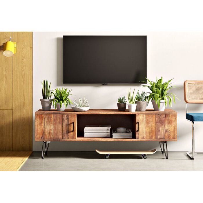 Adger Solid Wood Tv Stand For Tvs Up To 65" In 2020 Throughout Giltner Solid Wood Tv Stands For Tvs Up To 65" (Gallery 6 of 20)
