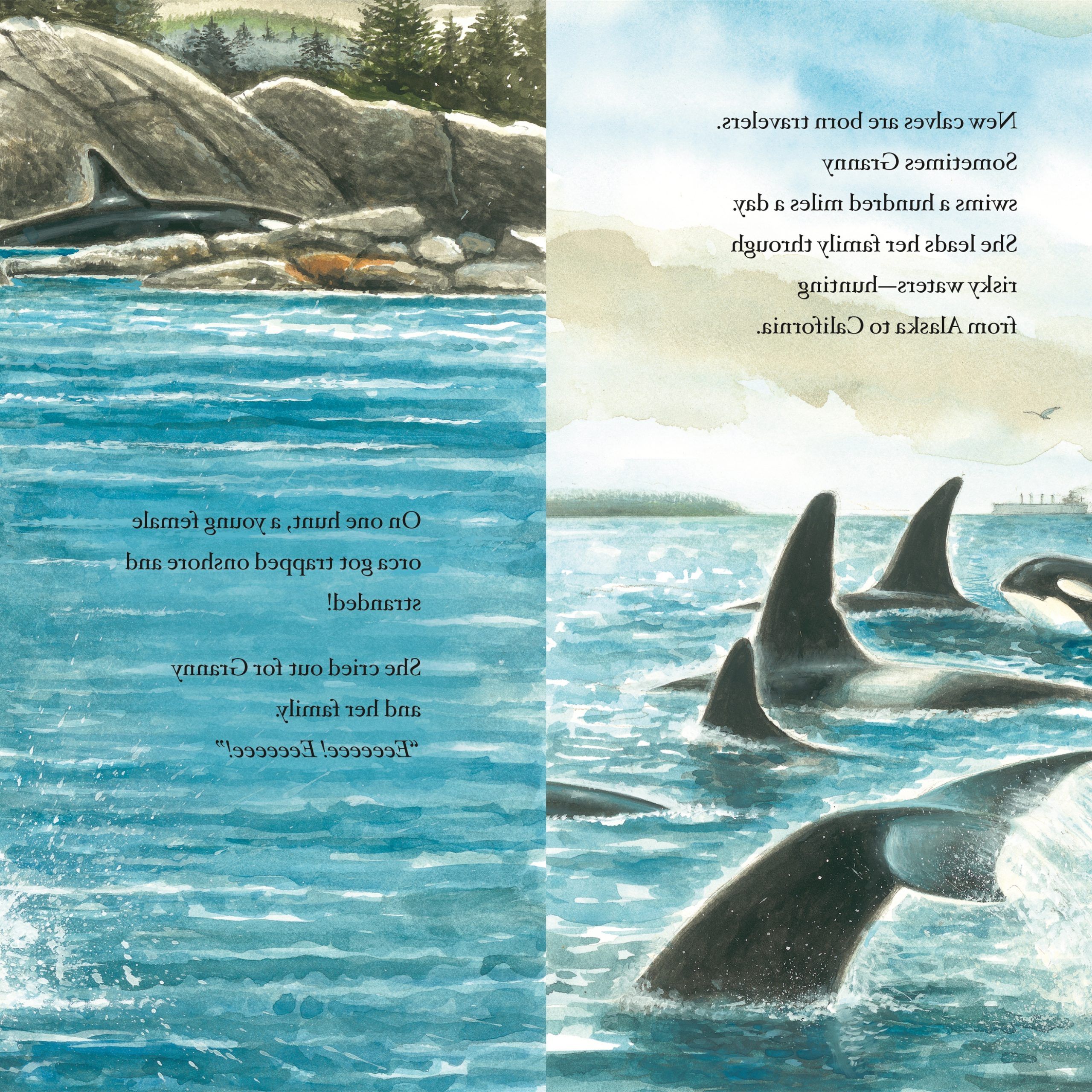 The Whale Family Book Download – Q.e (View 11 of 20)