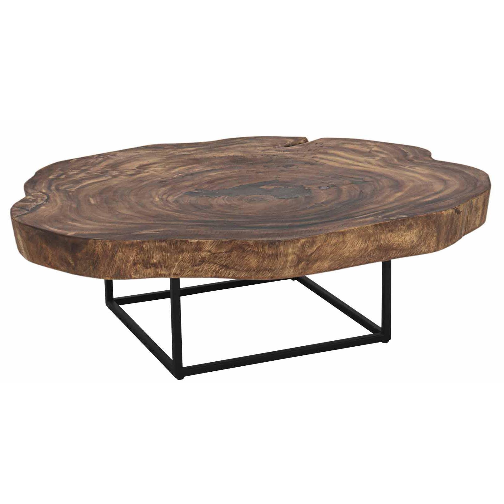 Well Known Oak Wood And Metal Legs Coffee Tables Intended For Trembesi Coffee Table Black Iron Legs, Natural – Boulevard (View 8 of 20)