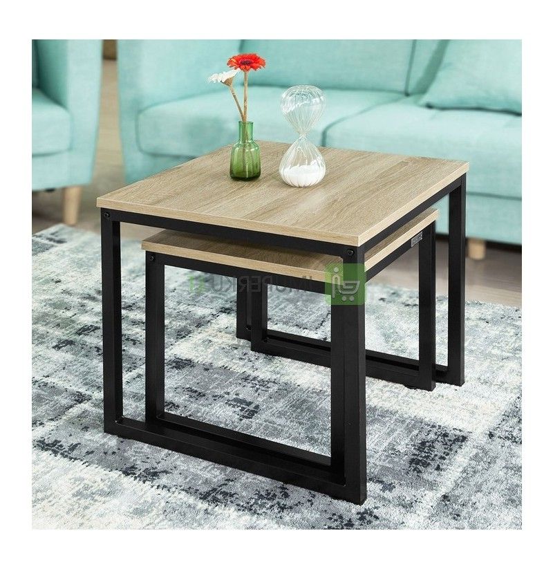 Latest 2 Piece Coffee Tables Pertaining To Sobuy 2 Piece Coffee Table Set, Fbt42 N (View 2 of 20)