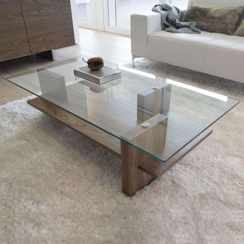 Very Low Coffee Tables (Photo 6 of 20)