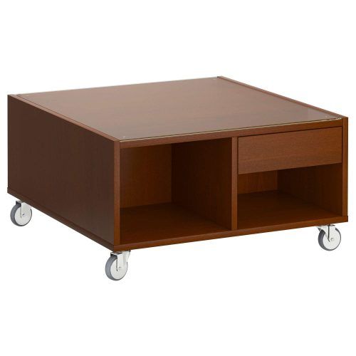 Low Coffee Table With Storage (Photo 17 of 20)
