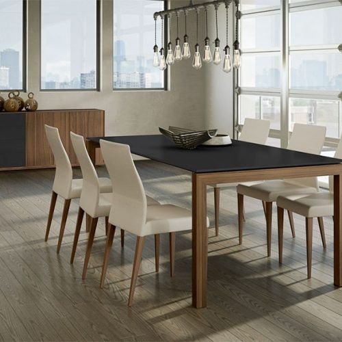 Contemporary Dining Furniture (Photo 6 of 20)
