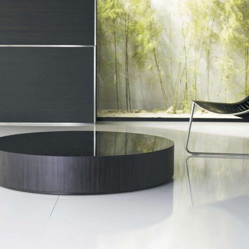 Contemporary Round Coffee Tables (Photo 16 of 20)