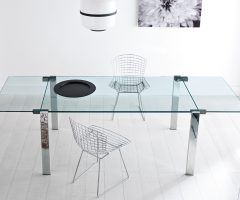 20 Photos Extendable Glass Dining Tables