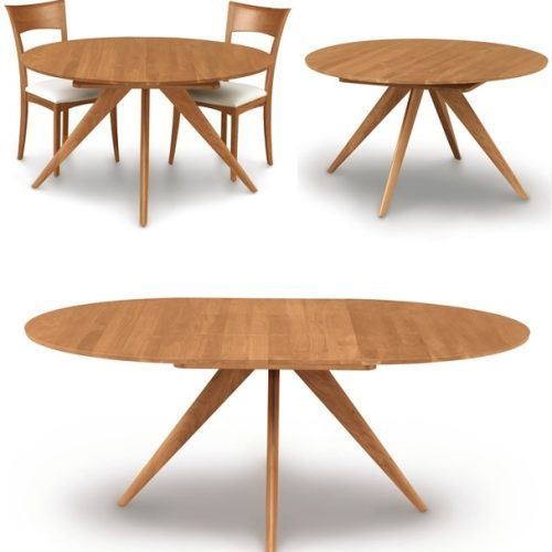 Round Extending Dining Tables (Photo 6 of 20)