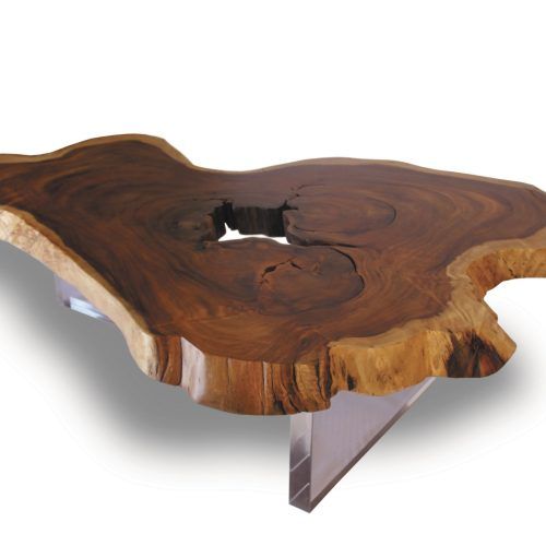 Sliced Trunk Coffee Tables (Photo 9 of 20)