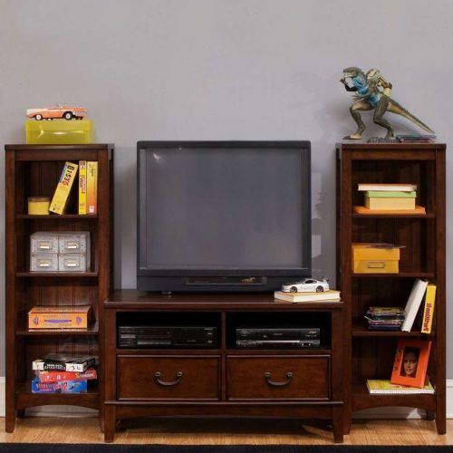 Tv Stands Bookshelf Combo (Photo 13 of 15)