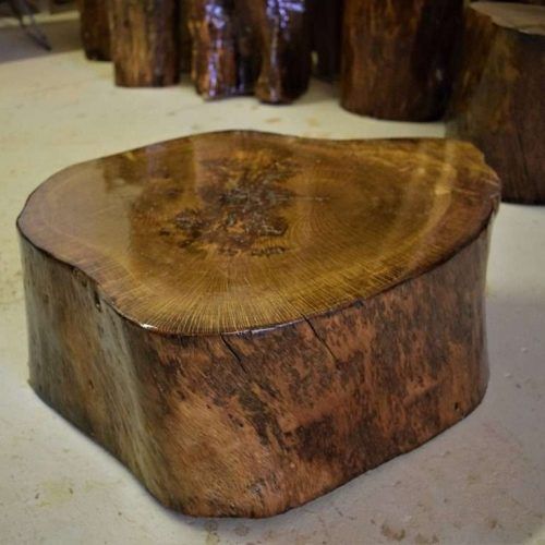 Tree Trunk Coffee Table (Photo 16 of 20)