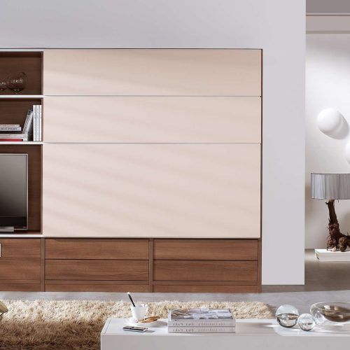 Wall Mounted Tv Cabinets With Sliding Doors (Photo 13 of 20)