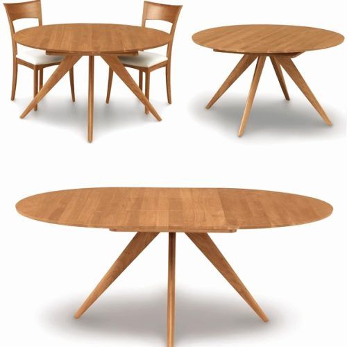 Jaxon Round Extension Dining Tables (Photo 18 of 20)