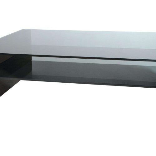 Black Coffee Tables With Storage (Photo 19 of 20)