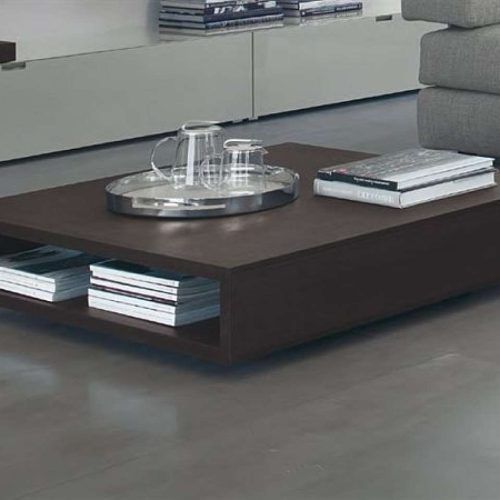 Low Coffee Table With Storage (Photo 4 of 20)