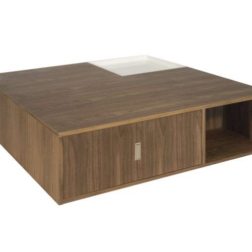 Low Coffee Tables With Storage (Photo 8 of 20)