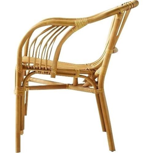 Magnolia Home Entwine Rattan Arm Chairs (Photo 13 of 20)