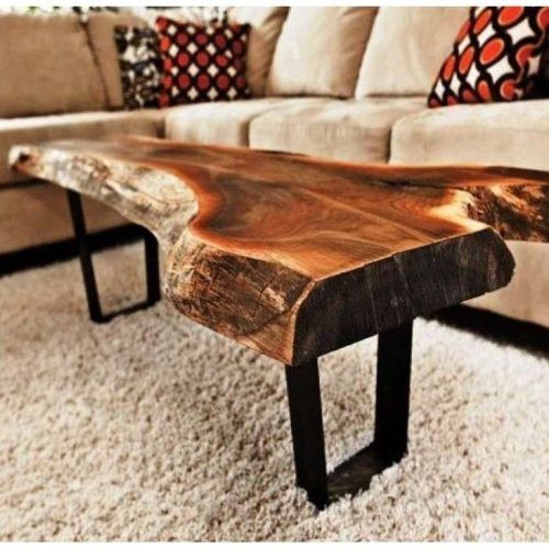 Tree Trunk Coffee Table (Photo 15 of 20)