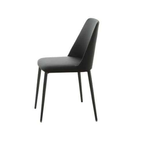 Black Dining Chairs (Photo 9 of 20)