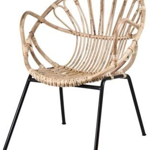 Magnolia Home Entwine Rattan Arm Chairs (Photo 6 of 20)