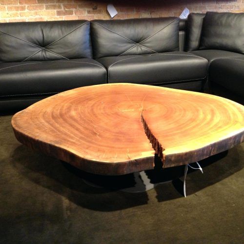 Sliced Trunk Coffee Tables (Photo 6 of 20)