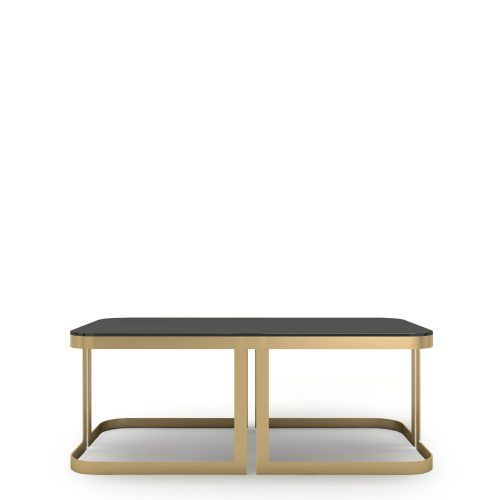 Rectangle Coffee Tables (Photo 15 of 20)
