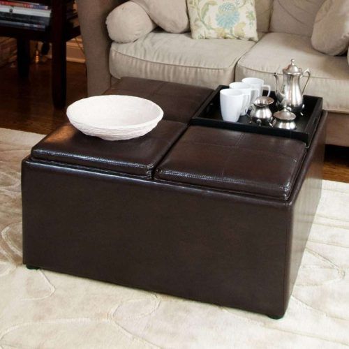 Brown Leather Ottoman Coffee Tables (Photo 11 of 20)