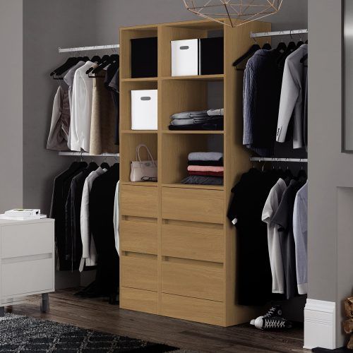 Wardrobes With 3 Shelving Towers (Photo 2 of 20)