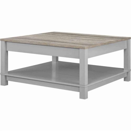 Gray Wash Coffee Tables (Photo 13 of 20)