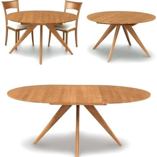 Round Dining Tables Extends To Oval (Photo 14 of 20)