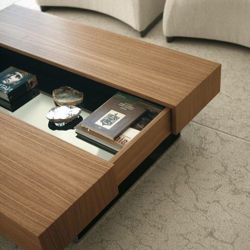 Open Storage Coffee Tables (Photo 1 of 20)