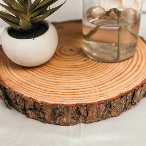 Sliced Trunk Coffee Tables (Photo 18 of 20)