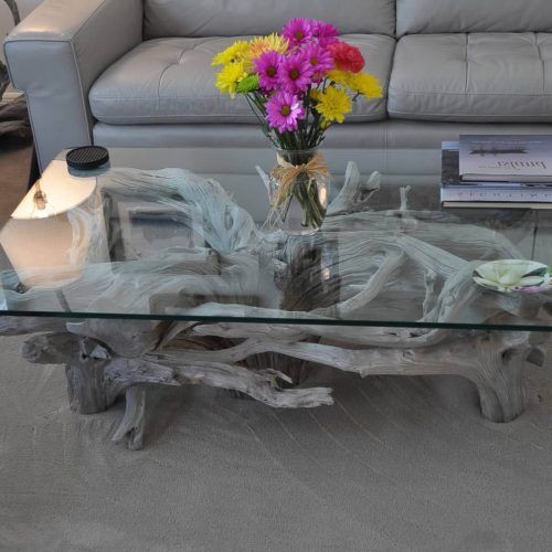 Gray Driftwood And Metal Coffee Tables (Photo 3 of 20)