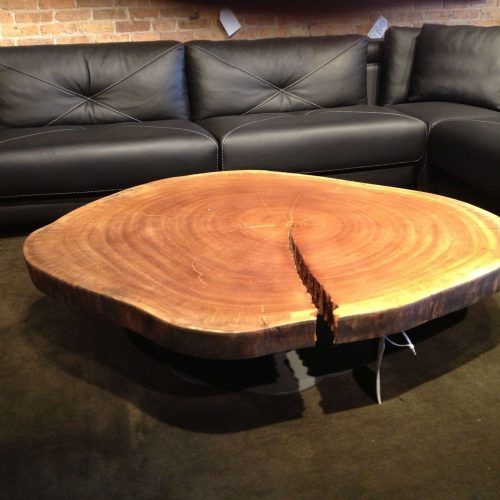 Tree Trunk Coffee Table (Photo 9 of 20)