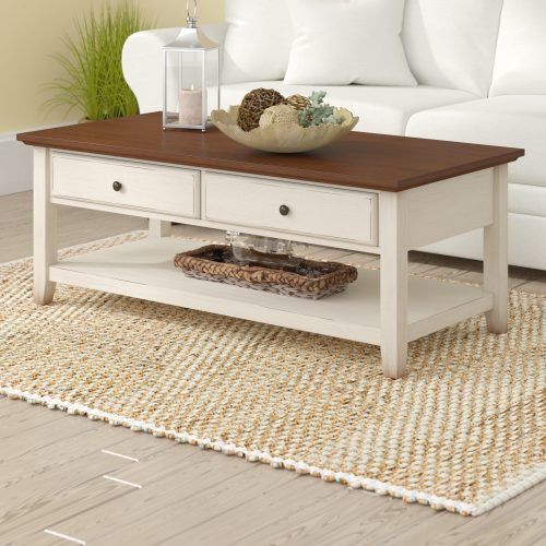 White Wash 2-Drawer/1-Door Coffee Tables (Photo 13 of 20)