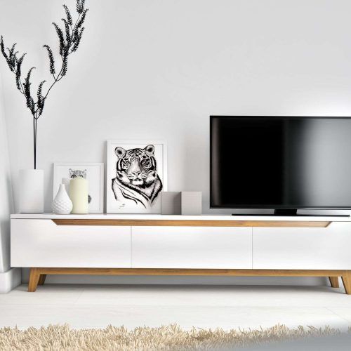 Scandinavian Design Tv Cabinets (Photo 1 of 20)