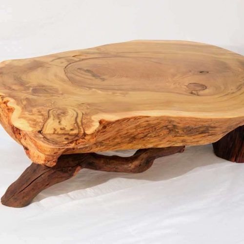 Unique Coffee Tables (Photo 5 of 20)