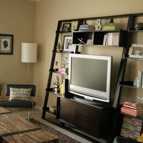 Bookshelf Tv Stands Combo (Photo 6 of 15)
