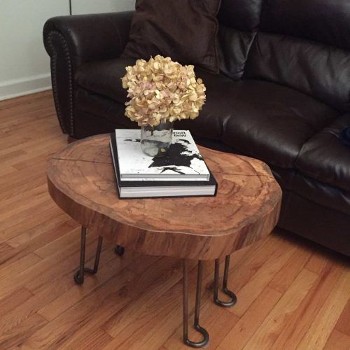 Sliced Trunk Coffee Tables (Photo 1 of 20)