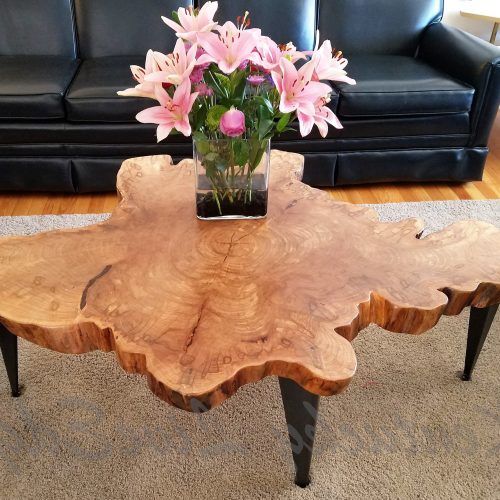 Sliced Trunk Coffee Tables (Photo 17 of 20)